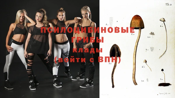 круглые Алзамай