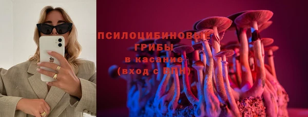 PSILOCYBIN Алексин