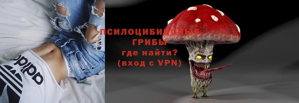 PSILOCYBIN Алексин