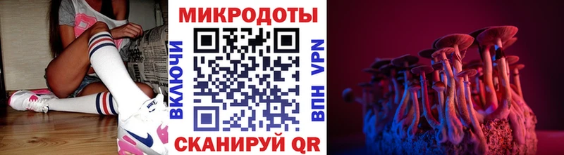 KRAKEN ссылки  Первоуральск  Галлюциногенные грибы Psilocybe 