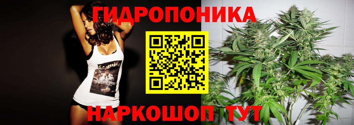 Шишки марихуана MAZAR  Конопля планчик  Первоуральск  Бошки марихуана VHQ  Марихуана VHQ  Вход с VPN 